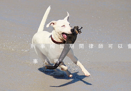 刑事拘留期間律師可以會見當(dāng)事人嗎