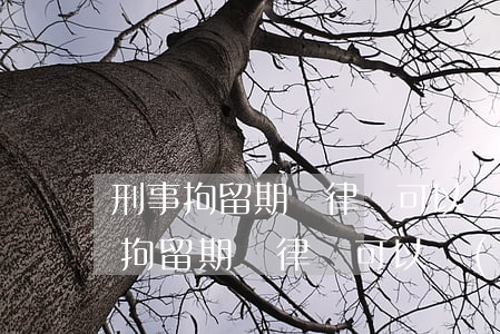 刑事拘留期間律師可以見(jiàn)嗎(在拘留期間律師可以見(jiàn)嗎?)