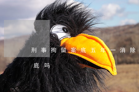 刑事拘留案底五年一消除(刑事拘留5天有案底吗)