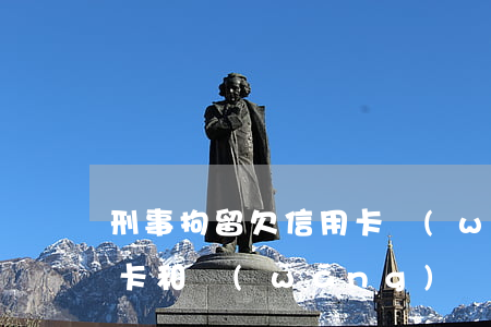 刑事拘留欠信用卡網(wǎng)貸(欠信用卡和網(wǎng)貸會坐牢嗎)