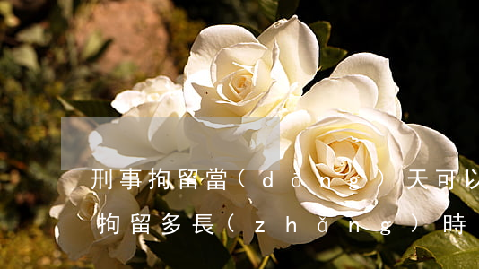刑事拘留當(dāng)天可以保釋嗎(刑事拘留多長(zhǎng)時(shí)間可以保釋)