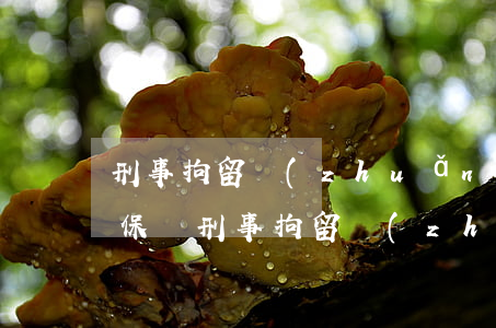 刑事拘留轉(zhuǎn)為逮捕后可以取保嗎(刑事拘留轉(zhuǎn)為逮捕后可以取保嗎?)