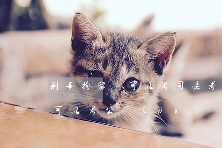 刑事拘留過可以考司法考試嗎(被刑事拘留過可以考公務(wù)員嗎)