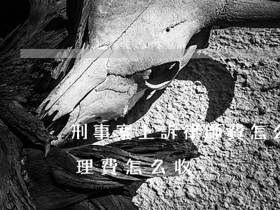 刑事案上訴律師費怎么收取(上訴案件律師代理費怎么收)