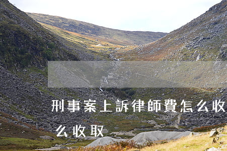 刑事案上訴律師費怎么收取(刑事上訴費用怎么收取)