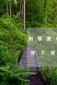 刑事案中途換律師利弊(刑事案件中途換律師好不好)