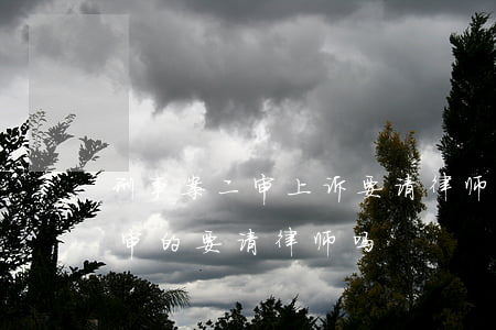 刑事案二审上诉要请律师吗(一审不服上诉二审的要请律师吗)