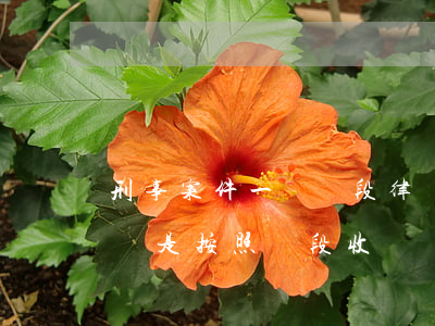 刑事案件一個階段律師費要多少(刑事律師收費是按照階段收嗎)