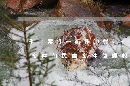 刑事案件一審律師費(fèi)要多少(刑事案件和民事案件律師收費(fèi)標(biāo)準(zhǔn))