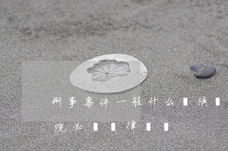 刑事案件一般什么時候請律師(刑事案件到法院必須請律師嗎)