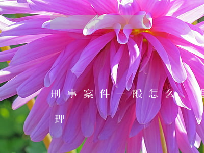 刑事案件一般怎么處理(遇到刑事案件怎么處理)