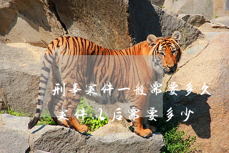 刑事案件一般需要多久(構(gòu)成刑事案件以后需要多少時間處理完)