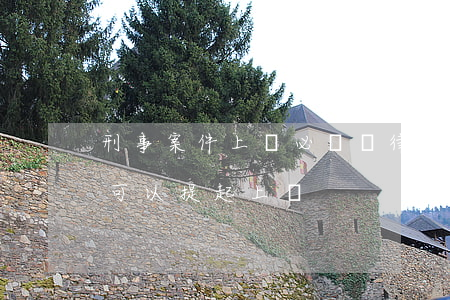 刑事案件上訴必須請律師嗎(刑事案件哪些人可以提起上訴)