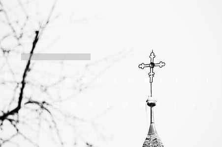 刑事案件上訴費(fèi)用(刑事案件上訴需要交上訴費(fèi)嗎)