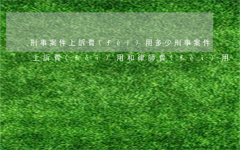刑事案件上訴費(fèi)用多少(刑事案件上訴費(fèi)用和律師費(fèi)用)