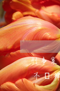 刑事案件不請律師可以嗎(刑事到了法院可以不請律師嗎)