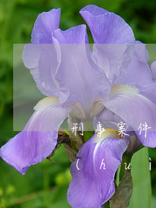 刑事案件中另案處理什么時(shí)候會(huì)結(jié)案(刑事案件立案后多久必須結(jié)案)