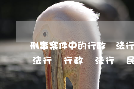 刑事案件中的行政違法行為如何處理(刑事違法行為行政違法行為民事違法行為的區(qū)別)