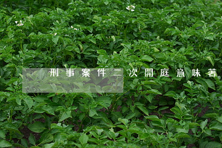 刑事案件二次開庭意味著什么
