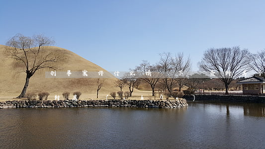 刑事案件什么情況下會查封房子(刑事犯罪查封房產(chǎn))