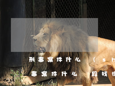 刑事案件什么時(shí)候找律師合適(刑事案件什么階段找律師最重要)