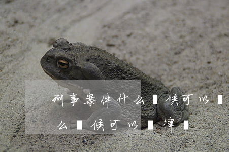 刑事案件什么時候可以請律師(刑事被告人什么時候可以請律師)