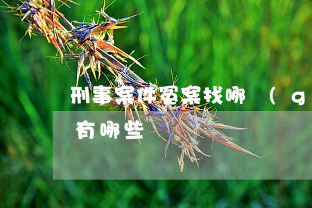刑事案件冤案找哪個(gè)部門(近期冤案有哪些)
