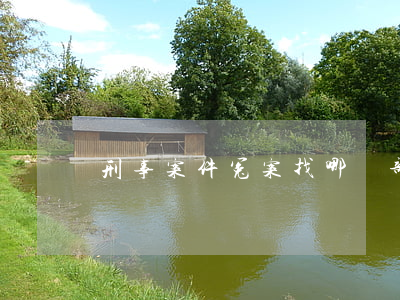 刑事案件冤案找哪個部門(近期冤案有哪些)