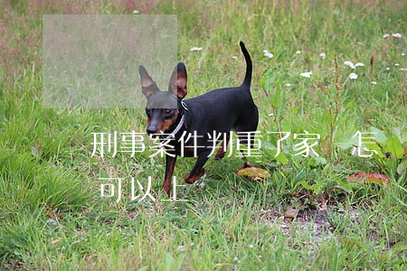 刑事案件判重了家屬怎樣申訴(刑事案件家屬可以上訴嗎)