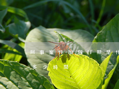 刑事案件加個日期是什么意思(刑事案件需要多少時間)