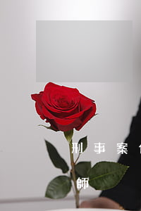 刑事案件原告用不用請律師(被告要不要請律師)