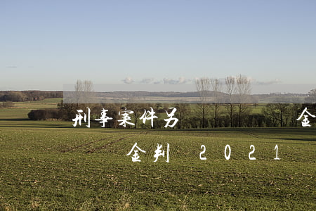 刑事案件另訴傷殘賠償金(刑事案件另訴傷殘賠償金判決2021)