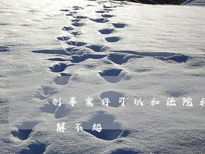 刑事案件可以和法院和解嗎(刑事案件可以和解不起訴嗎)
