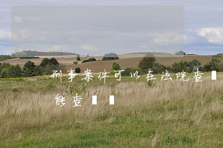 刑事案件可以在法院查詢嗎(法院審理的案件能查詢嗎)