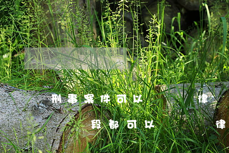 刑事案件可以換幾個律師(刑事案件是不是每個階段都可以請兩個律師)