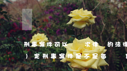 刑事案件可以換幾次律師的法律規(guī)定(刑事案件是不是每個階段都可以請兩個律師)