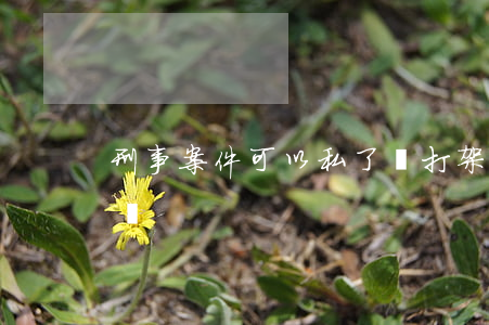 刑事案件可以私了嗎(打架刑事案件可以私了嗎)