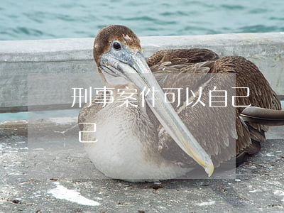 刑事案件可以自己辯護嗎(律師犯法了可以自己辯護嗎)
