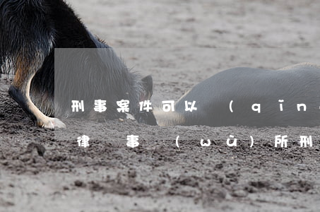 刑事案件可以請(qǐng)幾個(gè)律師事務(wù)所(刑事案件同一個(gè)律所律師能代理幾個(gè)人)