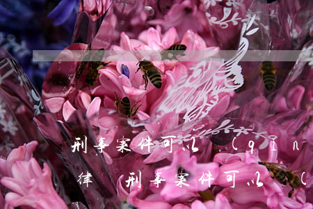 刑事案件可以請(qǐng)幾個(gè)律師(刑事案件可以請(qǐng)幾個(gè)律師會(huì)見(jiàn))