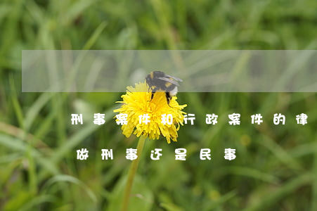 刑事案件和行政案件的律师哪个更专业(律师做刑事还是民事)