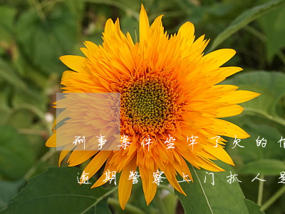 刑事案件坐牢了欠的信用卡怎么办-信用卡逾期警察上门抓人是真的吗