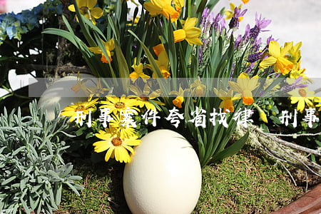 刑事案件夸省找律師(刑事案件找律師管用嗎)