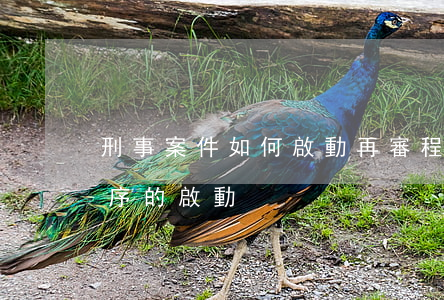 刑事案件如何啟動再審程序(刑事案件再審程序的啟動)