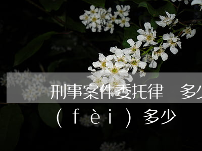 刑事案件委托律師多少錢(刑事案件律師收費(fèi)多少錢)