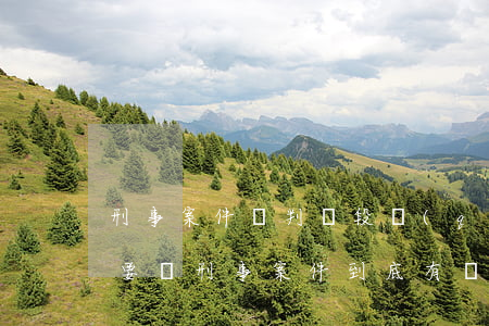 刑事案件審判階段請(qǐng)律師有必要嗎(刑事案件到底有沒有必要請(qǐng)律師)