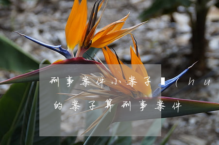 刑事案件小案子會(huì)判刑嗎(什么樣的案子算刑事案件)