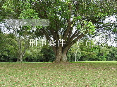 刑事案件強(qiáng)制措施的期限
