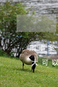 刑事案件律师作用不大(刑事案件律师作用不大可以投诉吗)