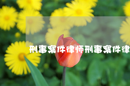 刑事案件律师(刑事案件律师阅卷规定)